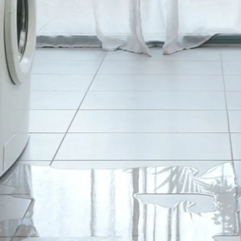 Appliance Leak Cleanup in Gilmer, TX