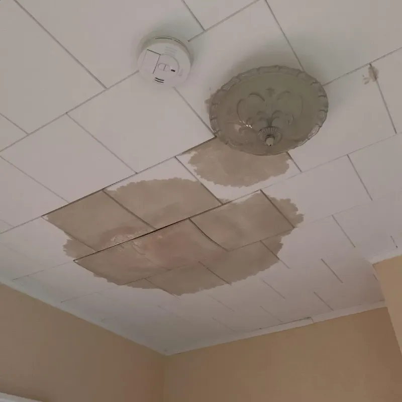 Ceiling Water Damage Repair in Gilmer, TX
